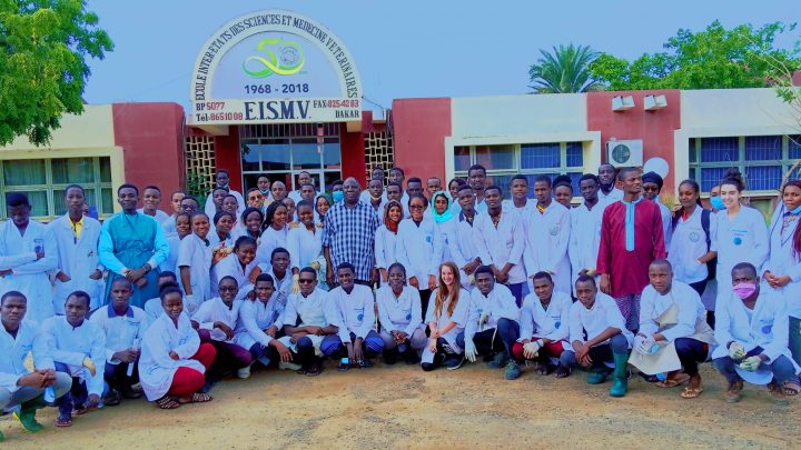 Reportage : Travaux Pratiques d’Anatomie S3-S4 EISMV (2019-2020)